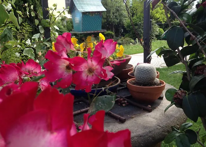 Il Sentiero Del Cuore 3*